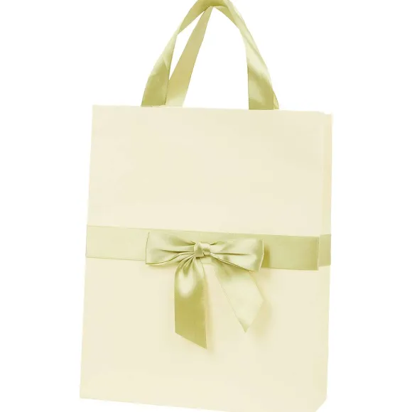 Cadeautas Met Strik