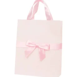 Cadeautas Met Strik