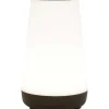 Deluxa Touch Lamp
