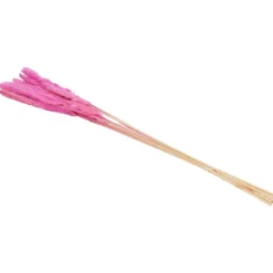 Droogboeket