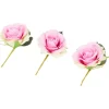 Home Accents Decoratierozen