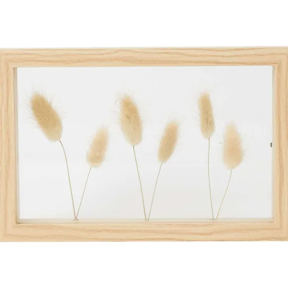 Home Accents Fotolijst Met Droogbloemen