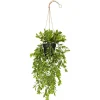 Kunsthangplant