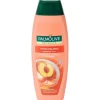 Palmolive Naturals 2-In-1 Shampoo Hydra Balance